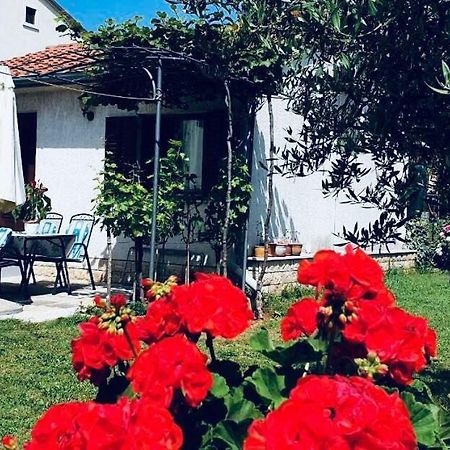 Studio Benassi Πόρετς Εξωτερικό φωτογραφία