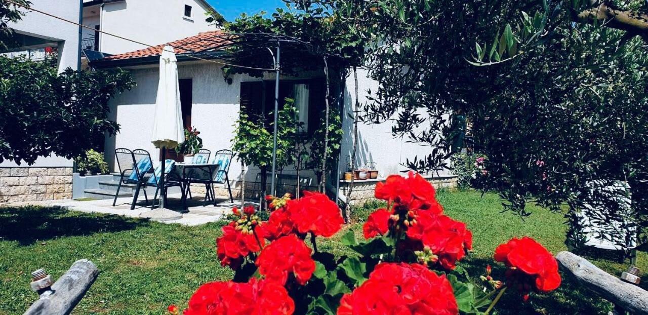 Studio Benassi Πόρετς Εξωτερικό φωτογραφία
